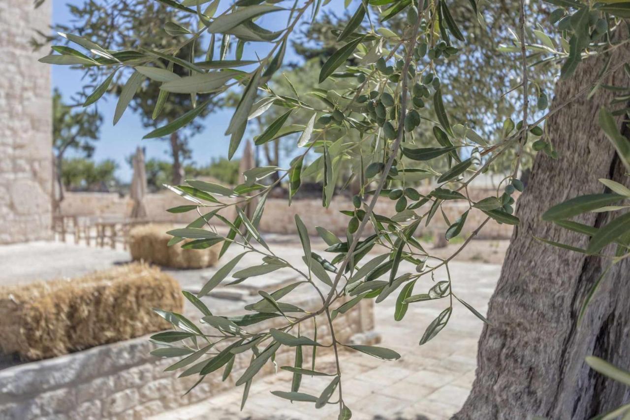 Masseria Fanizzi 콘베르사노 외부 사진